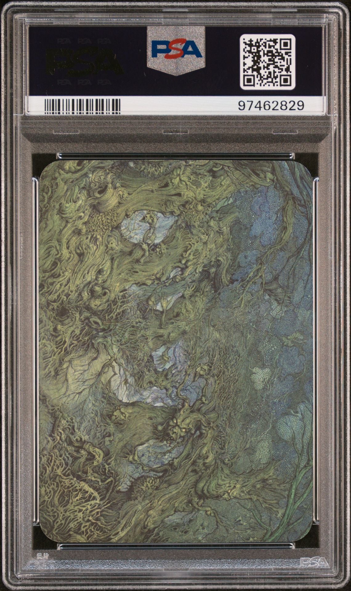 2023 Sorcery: Contested Realm Beta the Geistwood Foil PSA 10