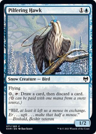 MTG Kaldheim 071/285 Pilfering Hawk