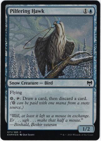 MTG Kaldheim 071/285 Pilfering Hawk Foil