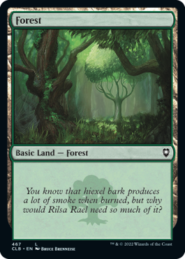 MTG Battle for Baldur's Gate 467 Forest