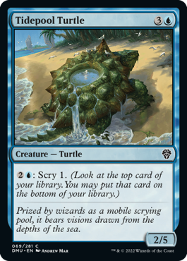 MTG Dominaria United 069/281 Tidepool Turtle