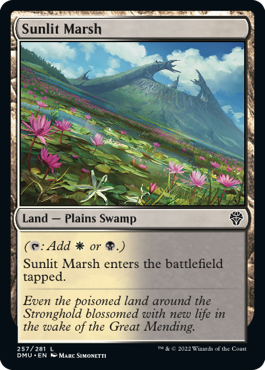 MTG Dominaria United 257/281 Sunlit Marsh